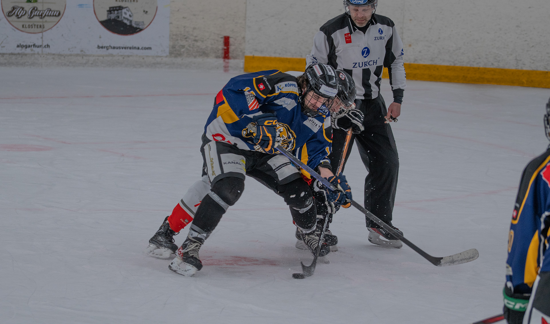 Eishockey